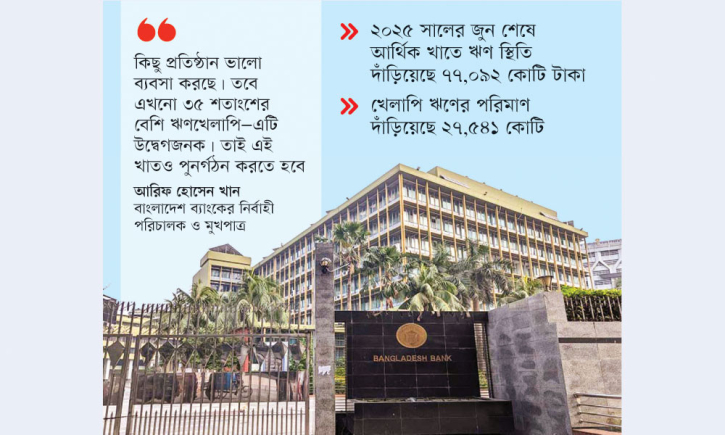 খেলাপির চাপেই টালমাটাল এনবিএফআই খাত