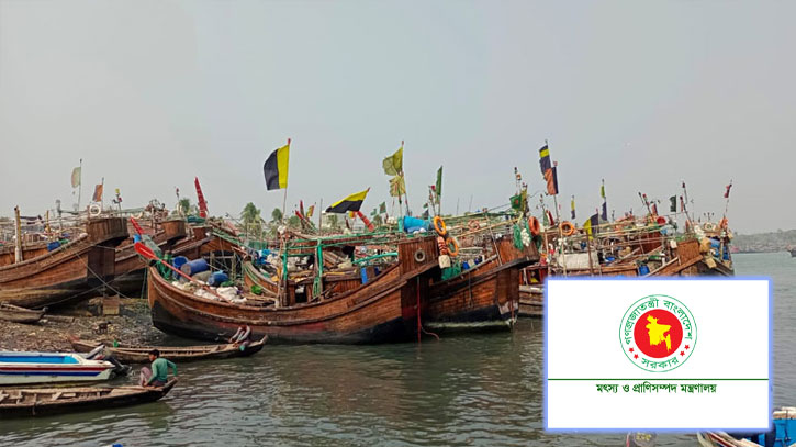 ২০ মে থেকে ৬৫ দিন সমুদ্রে মাছ আহরণ বন্ধ ২০ মে থেকে ৬৫ দিন সমুদ্রে মাছ আহরণ বন্ধ