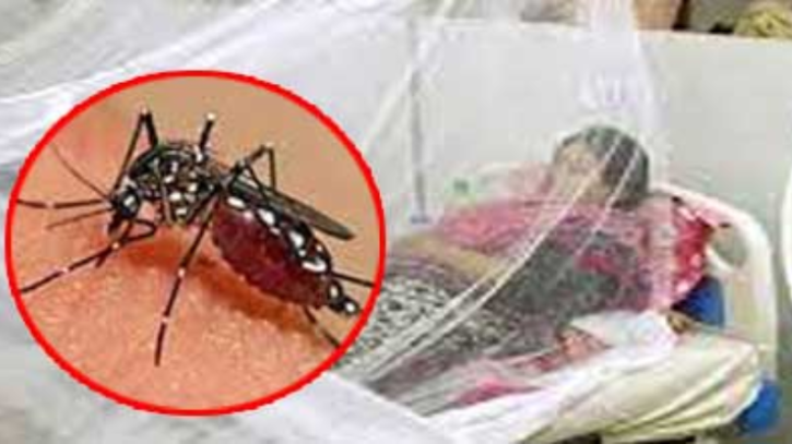 ডেঙ্গুতে একজনের মৃত্যু, হাসপাতালে ৩৩ ডেঙ্গুতে একজনের মৃত্যু, হাসপাতালে ৩৩