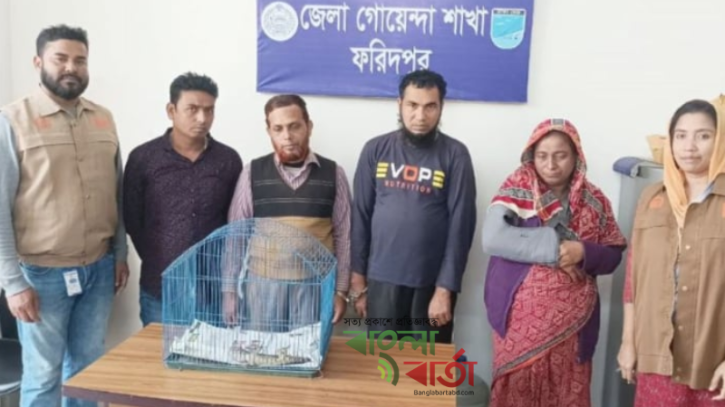 ফরিদপুরে ‘তক্ষক’ পাচার চক্রের চার সদস্য আটক