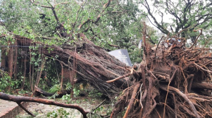 কক্সবাজারে হামুন কেড়ে নিল ৩ প্রাণ, ভাঙল গাছপালা-ঘর