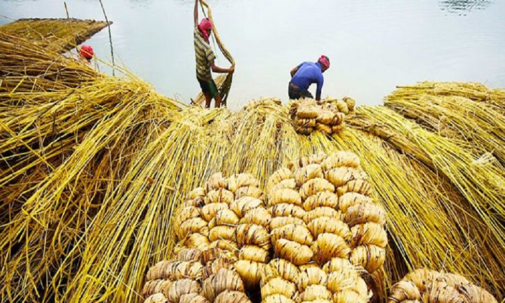 জিআই সনদে রপ্তানি খাতে সম্ভাবনার দ্বার খুলছে