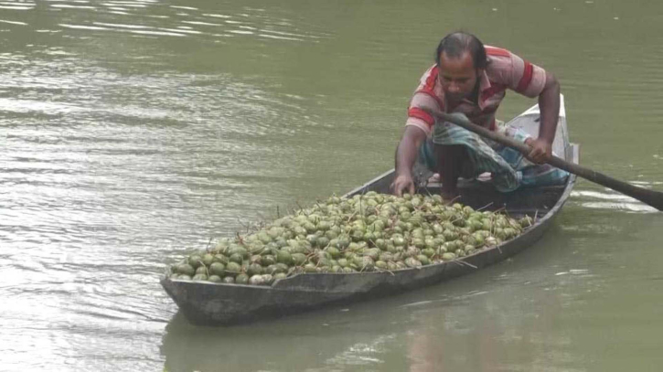 আমড়া খেলে কী হয়? আমড়া খেলে কী হয়?