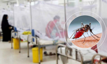 ডেঙ্গুতে আরও ২ জনের মৃত্যু, হাসপাতালে ১৯৫ জন ভর্তি