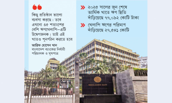 খেলাপির চাপেই টালমাটাল এনবিএফআই খাত