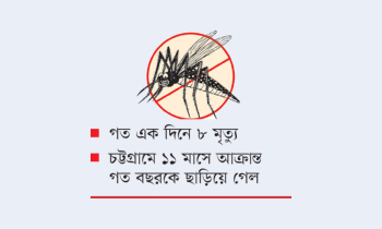 ডেঙ্গু রোগীর সংখ্যা ৯০ হাজার ছাড়াল