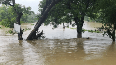 ফেনীতে প্লাবিত হচ্ছে নতুন নতুন এলাকা, বিদ্যুৎ ও যোগাযোগ বিচ্ছিন্ন