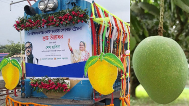 ঢাকায় আম আনতে ১০ জুন চালু ‘স্পেশাল ট্রেন’