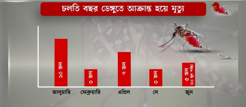 ‘চলতি বছর ভয়াবহ রূপ নিতে পারে ডেঙ্গু’