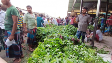 অবরোধে বিপাকে কৃষক, নষ্ট হচ্ছে শাকসবজি