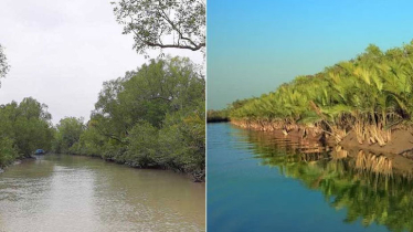 জুন-আগস্ট পর্যন্ত সুন্দরবনে প্রবেশে নিষেধাজ্ঞা