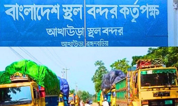 আখাউড়া দিয়ে অনির্দিষ্টকালের জন্য মাছ রপ্তানি বন্ধ