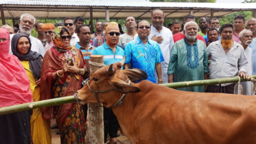 ঝিনাইদহে পৌরসভার স্থায়ী পশু হাটের উদ্বোধন