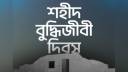শহীদ বুদ্ধিজীবী দিবস নিয়ে যা বলল বিসিবি