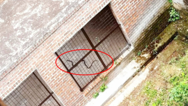 ইবি ক্যাম্পাসের সাপ ‘আতঙ্ক’