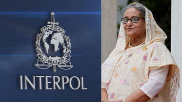 ‘শেখ হাসিনাকে ফেরাতে ইন্টারপোলের সহায়তায় আইনি প্রক্রিয়া চলছে’