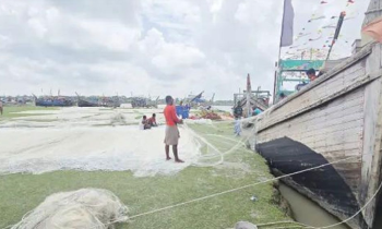 ২২ দিনের জন্য ইলিশ ধরা নিষিদ্ধ, বঞ্চনায় উপকূলের জেলেরা