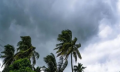 সারাদেশে বজ্রসহ ভারী বৃষ্টির সম্ভাবনা