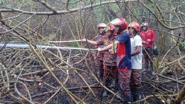 নিয়ন্ত্রণে এসেছে সুন্দরবনের আগুন, গঠন করা হয়েছে তদন্ত কমিটি