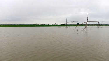 বাড়ছে তিস্তার পানি, বড় বন্যার আশঙ্কা