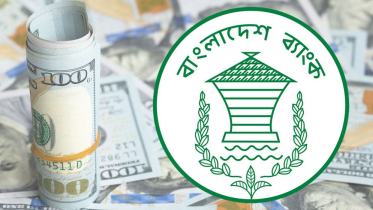 রিজার্ভ বেড়ে ৩০.৮৩ বিলিয়ন ডলার