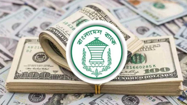 ডলারের বৃত্ত থেকে মুক্তি পেল বাংলাদেশ