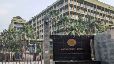দেড় মাসে বাজার থেকে প্রায় ১ বিলিয়ন ডলার কিনেছে বাংলাদেশ ব্যাংক