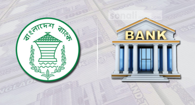 পুঁজি ঘাটতিতে নড়বড়ে দেশের ব্যাংক খাত