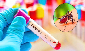 নভেম্বর মাসের ১৫ দিনেই ডেঙ্গুতে ৫৩ জনের মৃত্যু