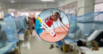 ডেঙ্গুতে বাড়ছে আক্রান্ত ও মৃত্যু, ৩ দিনে রোগী ভর্তি ছাড়াল হাজার