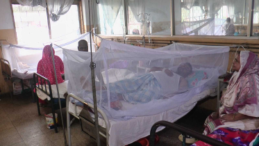 ২৪ ঘণ্টায় ডেঙ্গুতে আরও দুজনের মৃত্যু, হাসপাতালে ভর্তি ৬১০