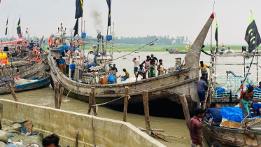 মা ইলিশ রক্ষায় সরকারের কঠোর সিদ্ধান্ত