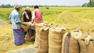 সরকারি গুদামে ধান-চাল দিতে নারাজ কৃষক-মিলার