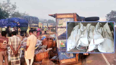 কুমিল্লায় ট্রাক উল্টে সড়কে ঝরল ৪ প্রাণ