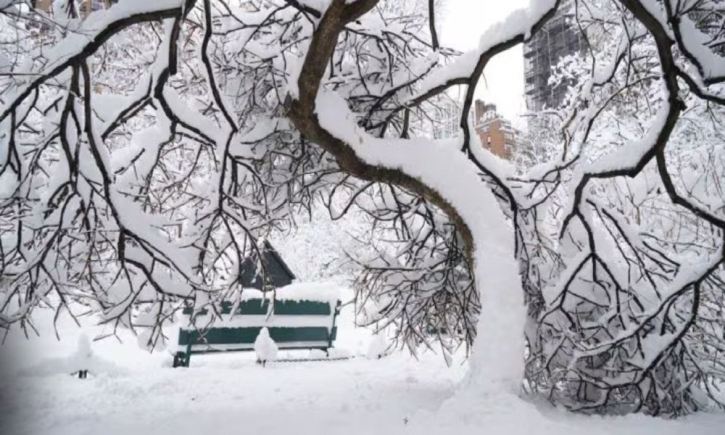 যুক্তরাষ্ট্রে ভয়াবহ তুষারপাত, ৫৭০০-র বেশি ফ্লাইট বাতিল