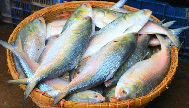 ভারত থেকে ইলিশ আমদানি বন্ধ করল বাংলাদেশ