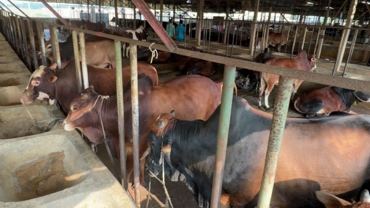 কুরবানির পশুর চামড়ার দাম নির্ধারণ করে দিল সরকার কুরবানির পশুর চামড়ার দাম নির্ধারণ করে দিল সরকার