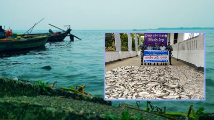 কোস্টগার্ডের অভিযানে ১০৬ মণ ইলিশ ও ট্রলার জব্দ