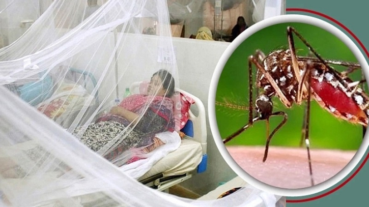 ডেঙ্গুতে ২৪ ঘণ্টায় হাসপাতালে ভর্তি আরও ৪৯ ডেঙ্গুতে ২৪ ঘণ্টায় হাসপাতালে ভর্তি আরও ৪৯