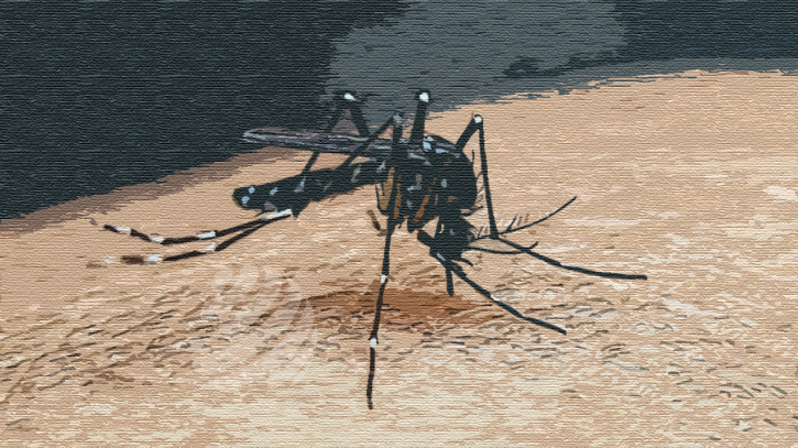 ডেঙ্গু আক্রান্ত হয়ে হাসপাতালে নতুন ভর্তি ৮৩৪ জন