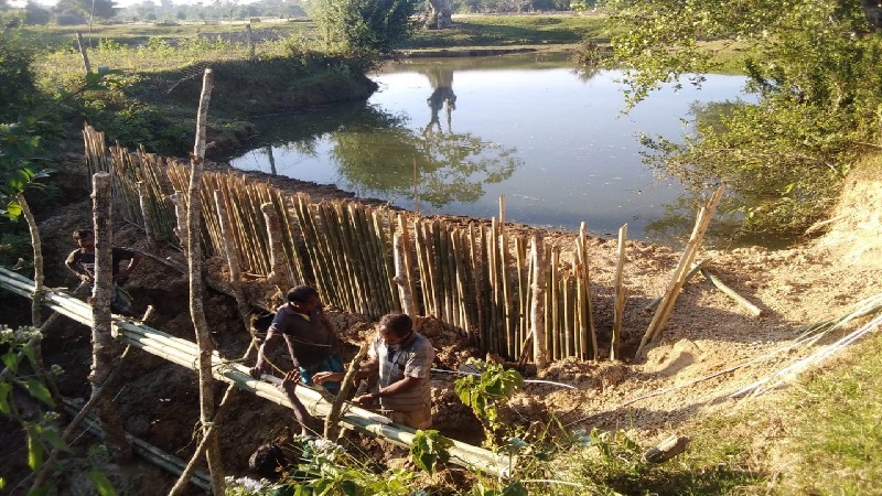 এক স্লুইসগেটে চাষের আওতায় আসবে ৪০০ একর জমি